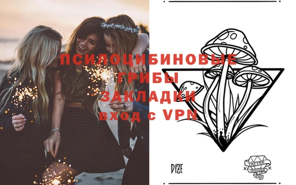 mdpv Белокуриха