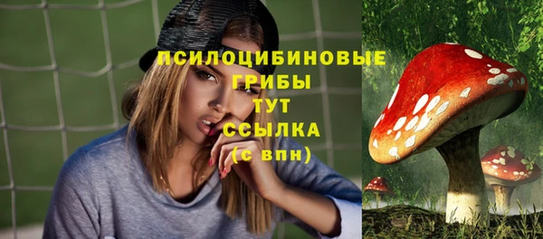 mdpv Белокуриха