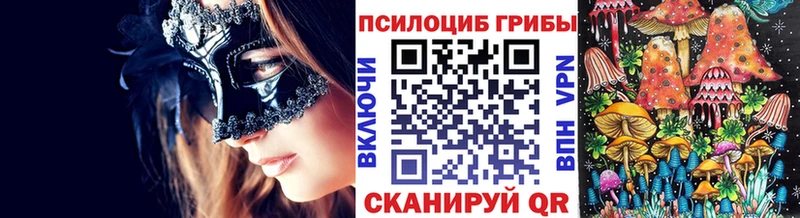 Псилоцибиновые грибы прущие грибы  Кочубеевское 